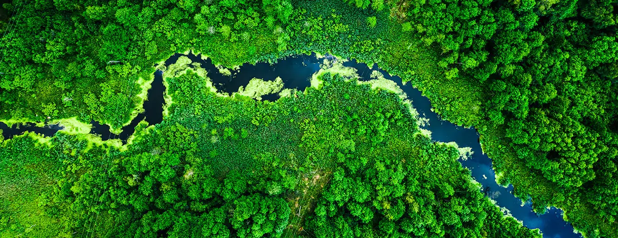 How EVs Help the Environment